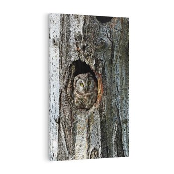 Obraz na płótnie 80x120 - Tajemniczy W świecie Nocy - sowa, dziupla