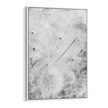 Obraz w ramie 70x100 - Zdmuchnięty Puch - dmuchawce, delikatne - rama biała