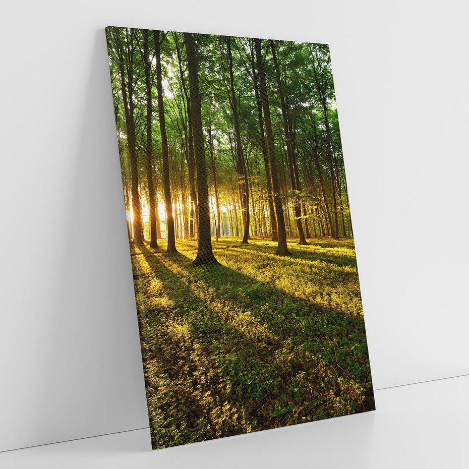 Obraz na płótnie 80x120 - Mistyfikujący urok leśnej głuszy - las, drzewa