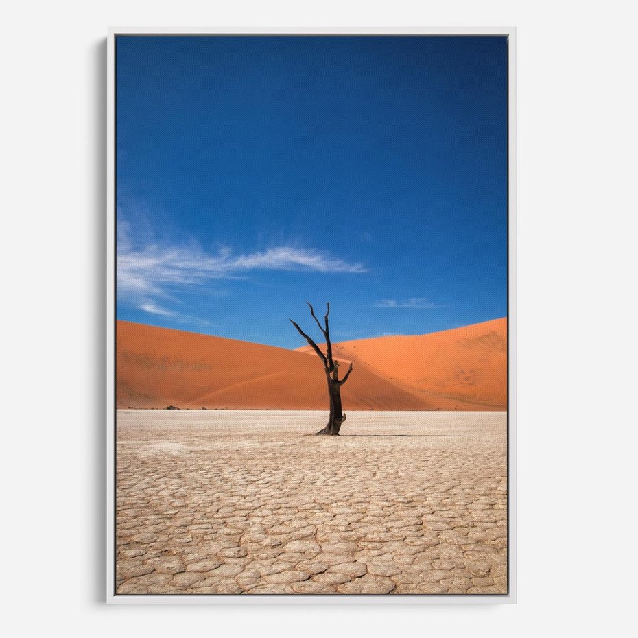 Obraz w ramie 80x120 - Słońce i Suche Drzewo - pustynia, suche - rama biała