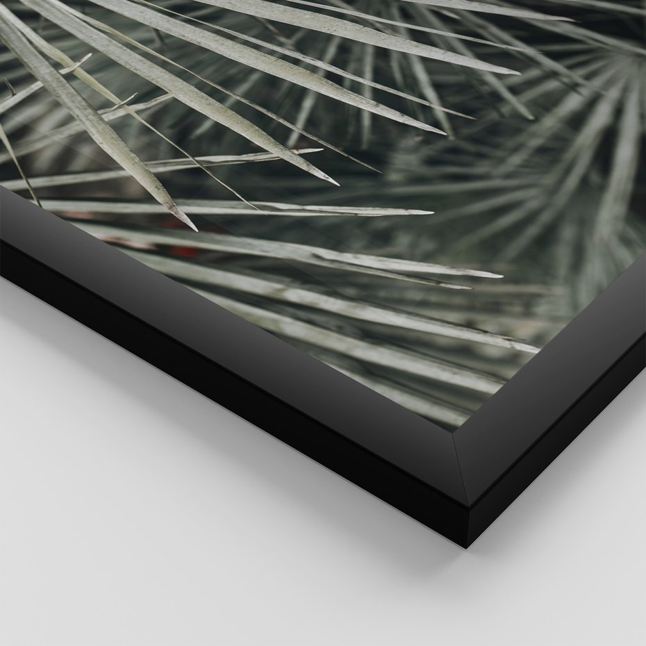 Zestaw obrazy w ramie 30x40 galeria - Liście, palmy, monstery - rama czarna