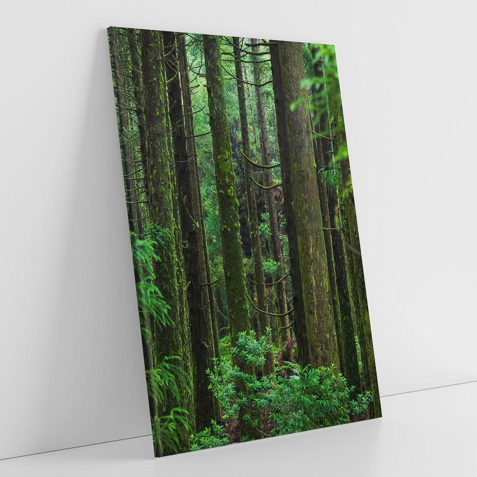Obraz na płótnie 70x100 - Mistyka leśnej głuszy - las, drzewa