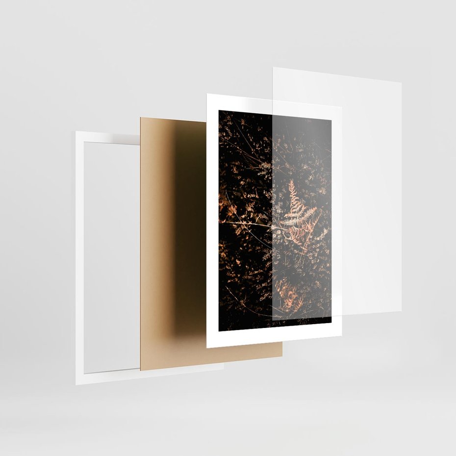 Plakat w ramie 30x40 - Jesienna Melodia - suche trawy, paprocie - rama biała