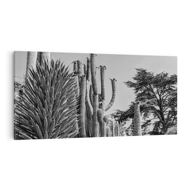 Obraz na płótnie 100x50 - Pustynny Klimat - czarno białe zdjecie, pustynia