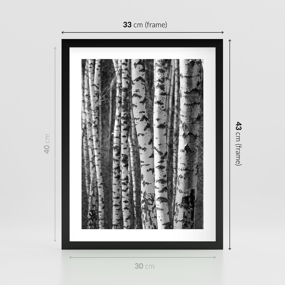 Plakat w ramie 30x40 - Kontrast Monochromatyczny - brzozy, czarno - rama czarna