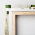 Obraz na płótnie 30x30 - Białe tulipany w pełnym rozkwicie - białe, tulipany