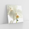 Obraz na płótnie 30x30 - Kwiatowe piękno - kwiat, kwiaty