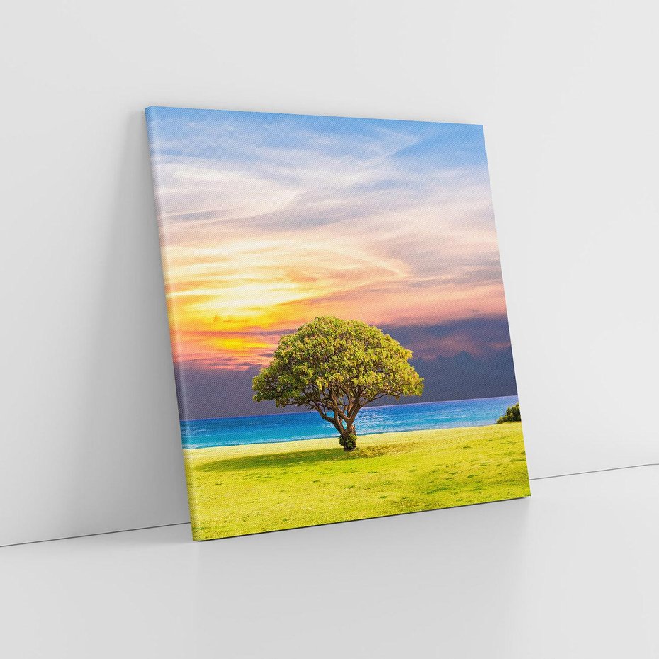 Obraz na płótnie 50x50 - Drzewo, Morze, Trawa - Naturalna Harmonia - drzewo, morze