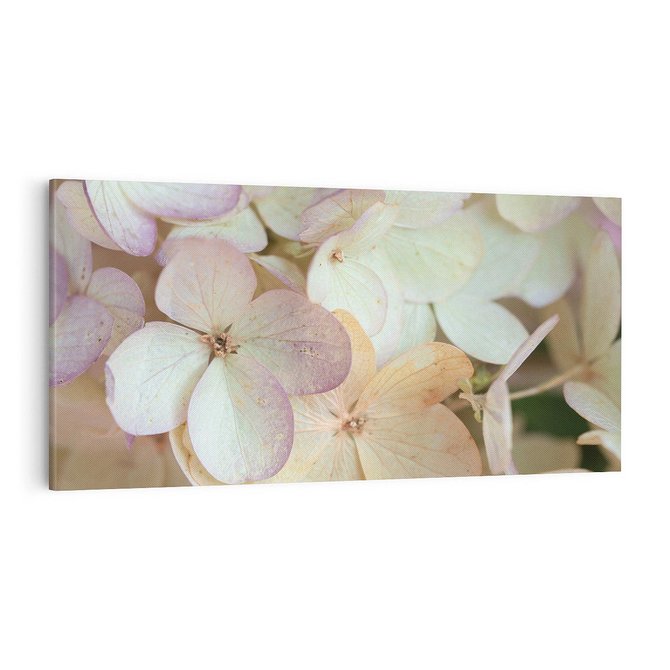 Obraz na płótnie 100x50 - Kwiatowy taniec - kwiaty, hortensje
