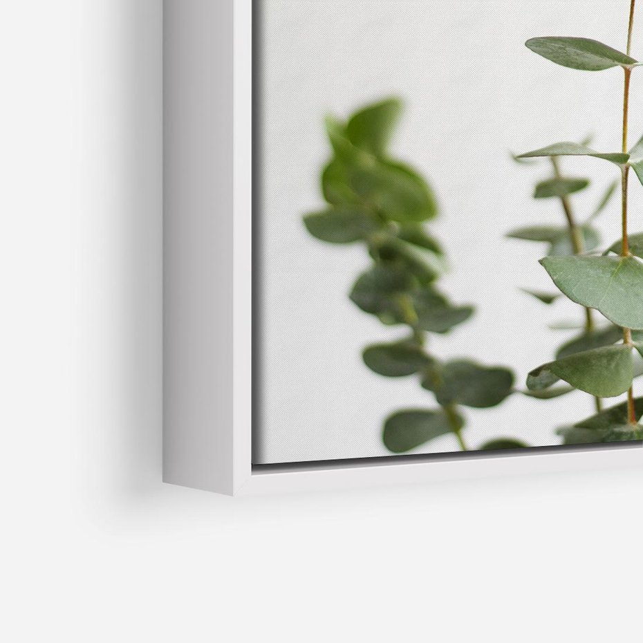 Obraz w ramie 80x80 - Żywa eukaliptusowa zieleń - eukaliptus, zielone - rama biała