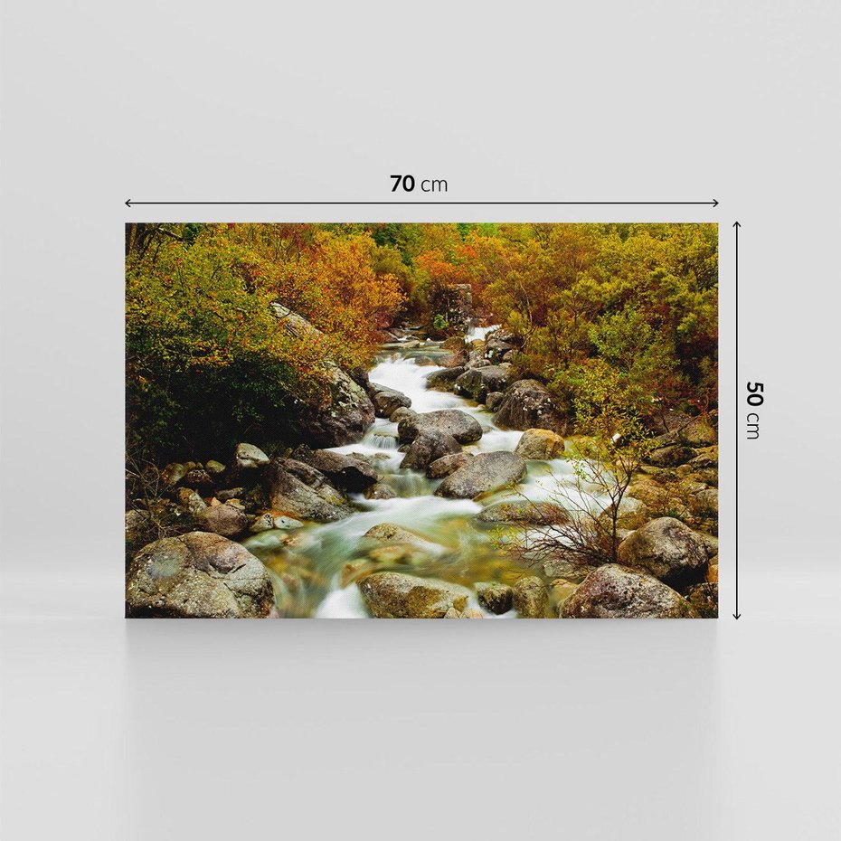 Obraz na płótnie 70x50 - Śpiew Strumienia - strumień, górski