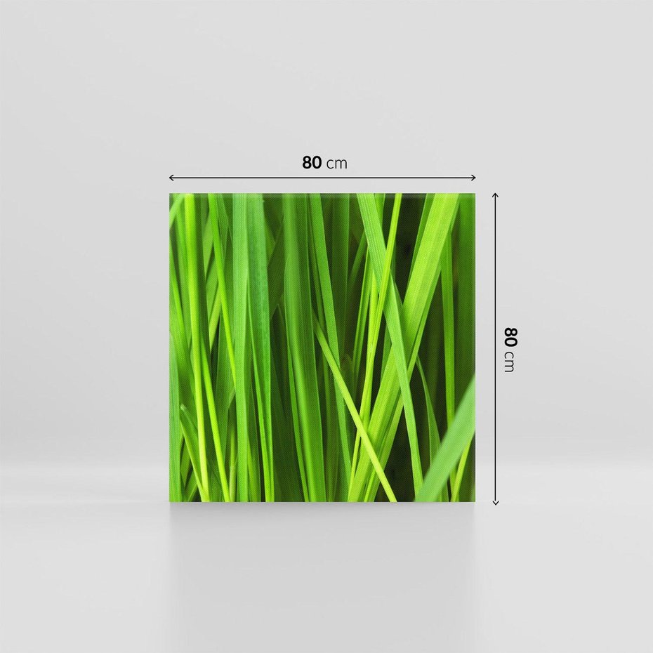 Obraz na płótnie 80x80 - Trawa w abstrakcji: natura przekształcona - trawa, abstrakcja