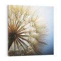 Obraz na płótnie 70x70 - Delikatny dmuchawiec w pełnym rozkwicie - dmuchawiec, kwiat