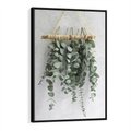 Obraz w ramie 50x70 - Uwodzicielska zieleń eukaliptusa - eukaliptus, zielone - rama czarna