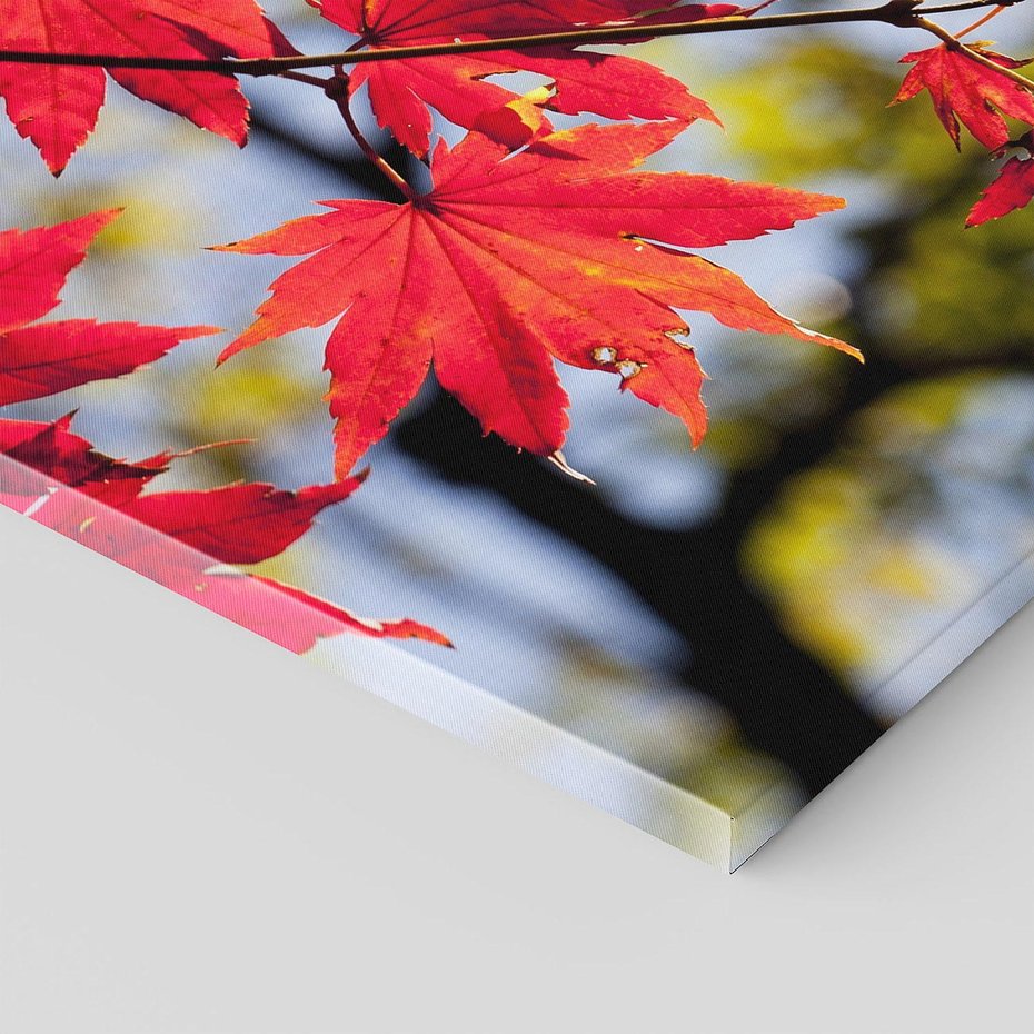 Obraz na płótnie 50x70 - Jesienny Urok Drzewa i Opadających Liści - drzewo, liście