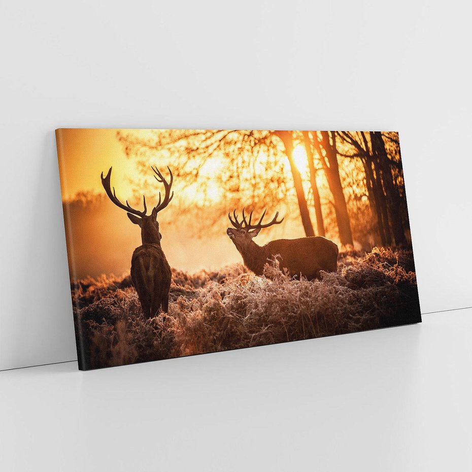 Obraz na płótnie 120x60 - Jeleń w lesie: Spotkanie w dziczy - jeleń, jelenie