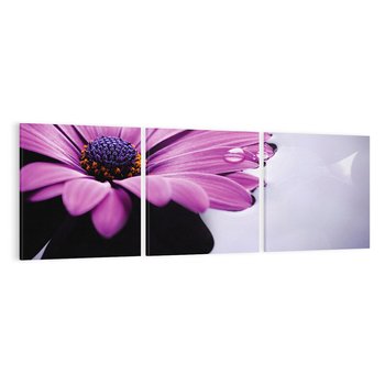 Obraz na płótnie 120x40 - kwiatowa harmonia - kwiat, SPA