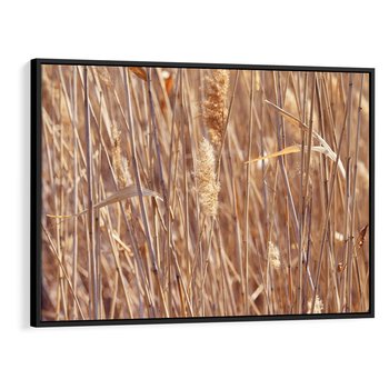 Obraz w ramie 100x70 - Mistrzowskie suche trawy - suche, trawy - rama czarna