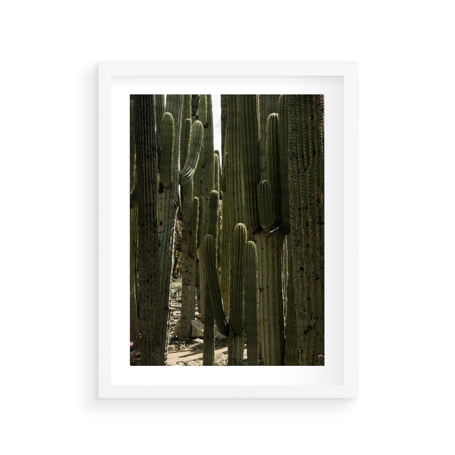 Plakat w ramie 30x40 - Wyjątkowy Klimat Boho - kaktusy, pustynia - rama biała