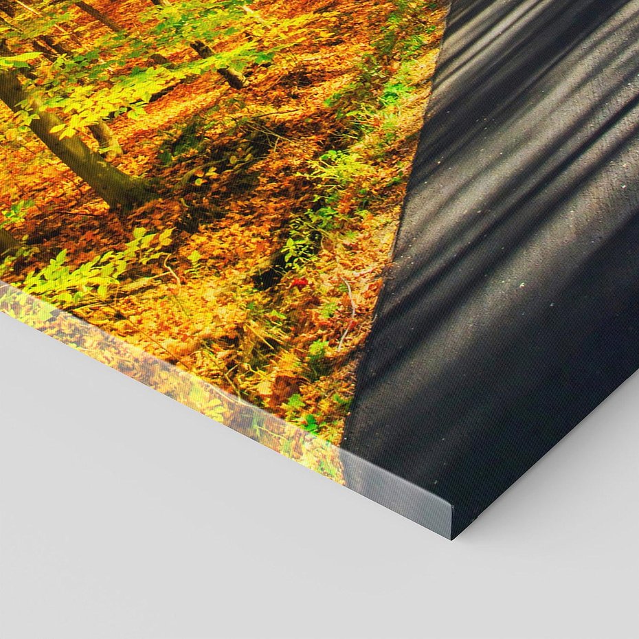 Obraz na płótnie 120x40 - Droga przez jesienny las - droga, las