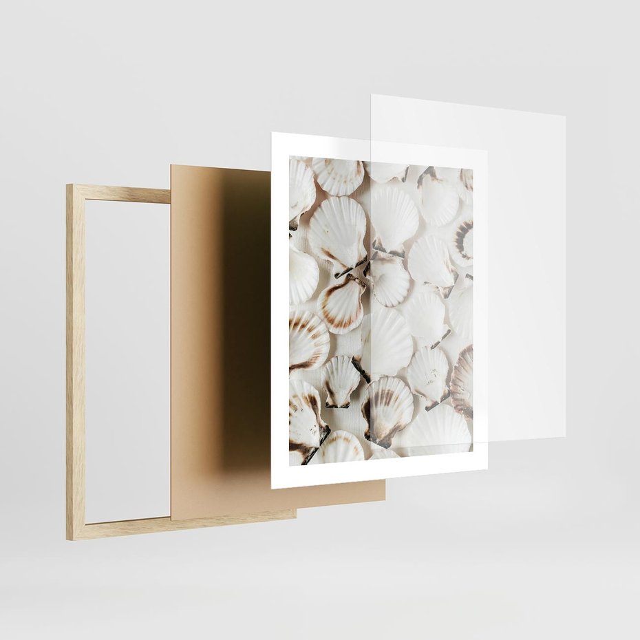 Plakat w ramie 40x50 - Białe Muszle - białe muszle, ujęcie z góry - rama drewno