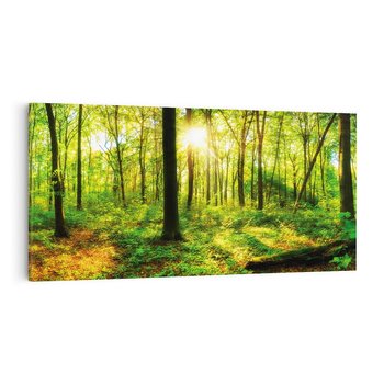 Obraz na płótnie 120x60 - Mistyfikujący las - las, drzewa