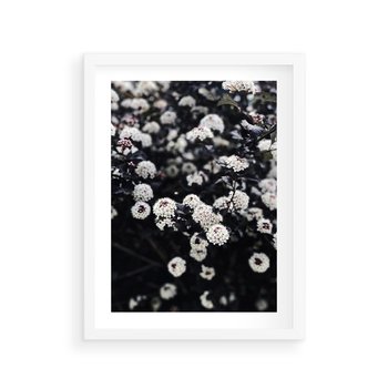 Plakat w ramie 30x40 - Białe Kwiaty na Kwitnącym Krzewie - białe kwiaty, kwitnący krzew - rama biała