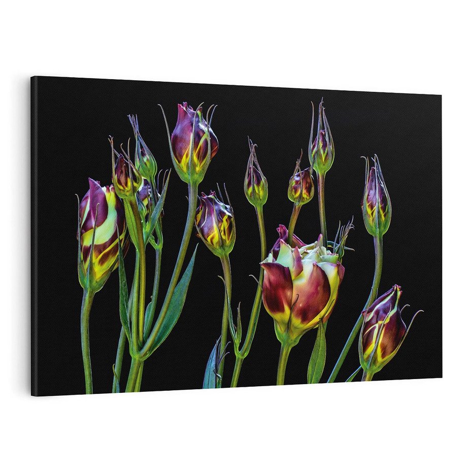 Obraz na płótnie 120x80 - urok kwiatów - kwiat, kwiaty