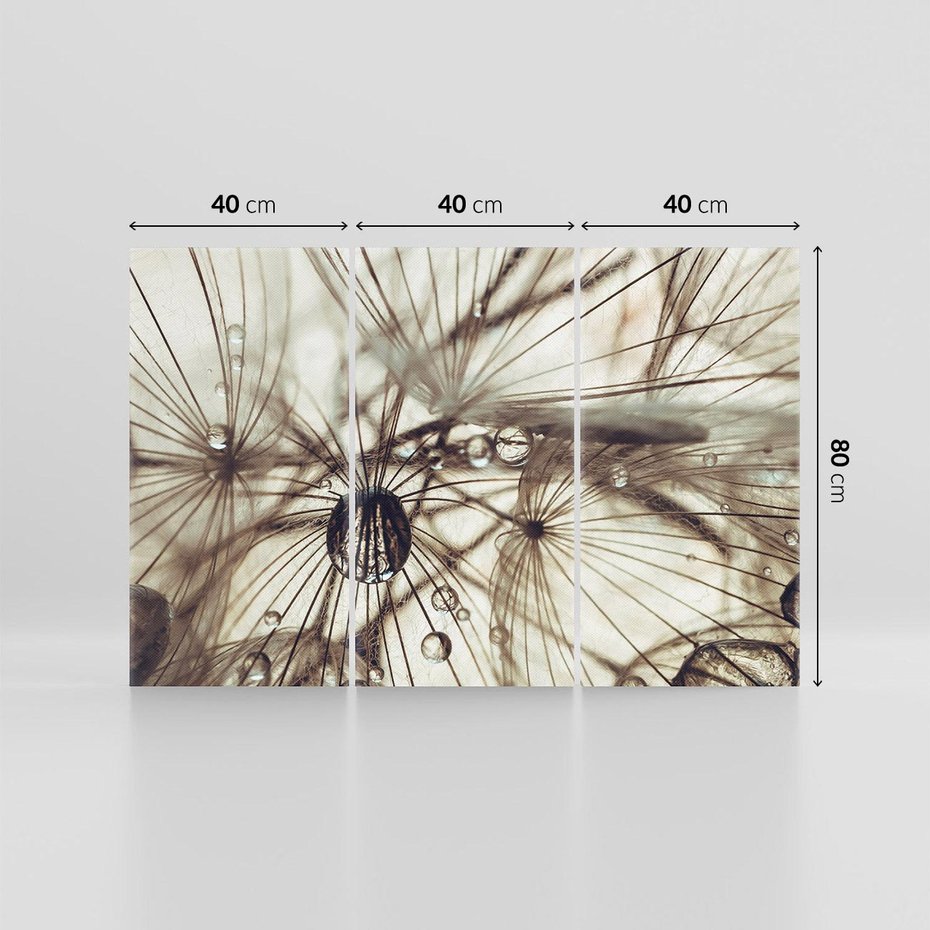 Obraz na płótnie 120x80 - Lekkie dmuchawce - dmuchawce, krople