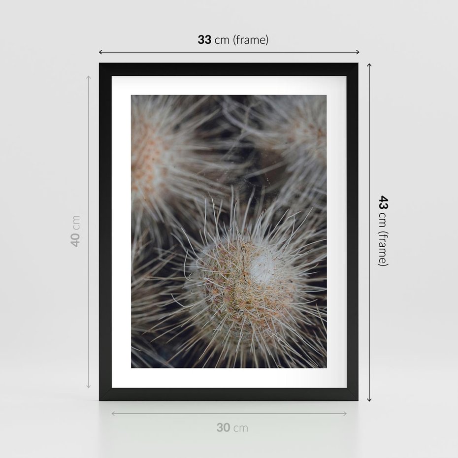 Plakat w ramie 30x40 - Ulotna Piękność Natury - makro, dmuchawce - rama czarna