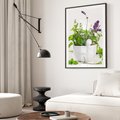 Plakat bez ramy 30x40 - Kwiaty i zioła w restauracji - kwiaty, zioła