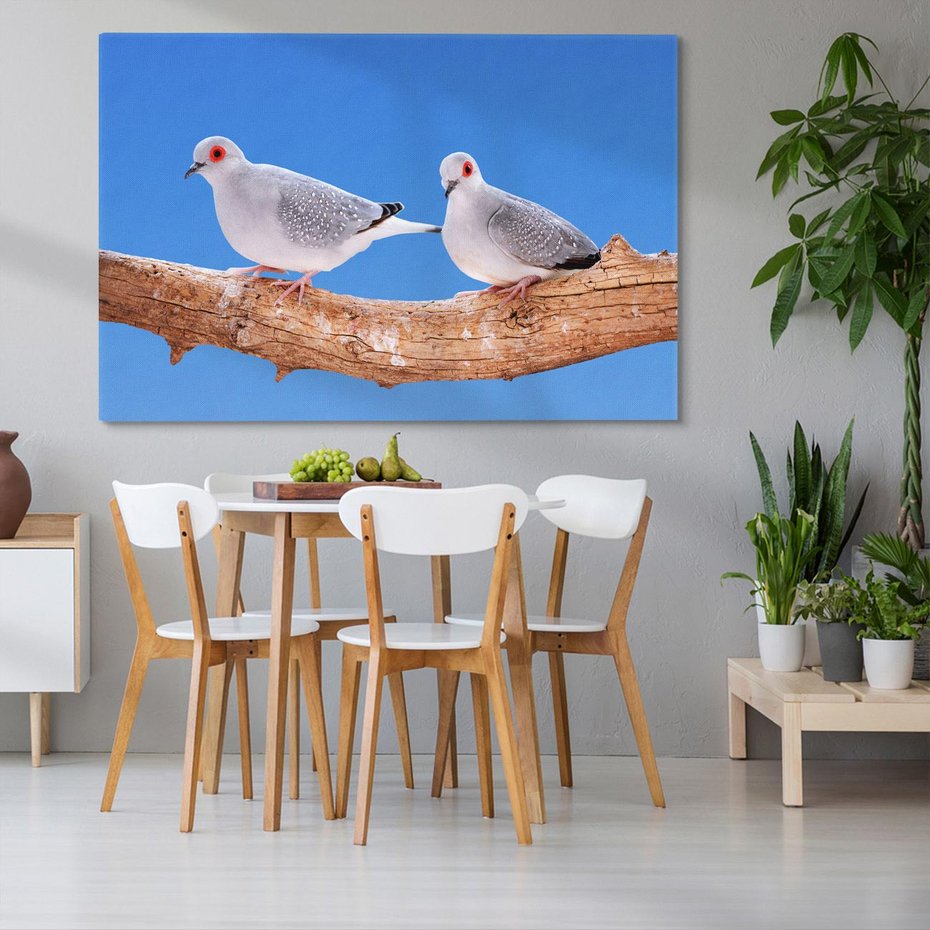 Obraz na płótnie 70x50 - Gołębie w locie - gołębie, gołąb