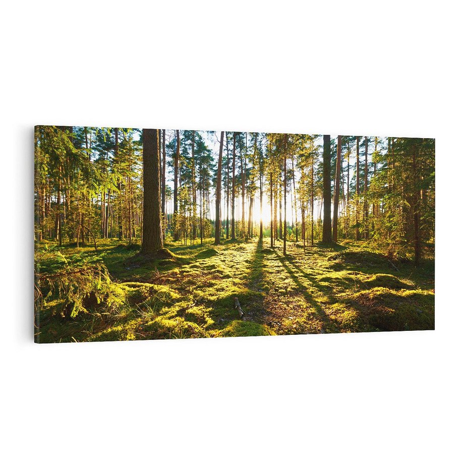 Obraz na płótnie 140x70 - Obfitość natury - las, drzewa