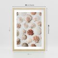 Plakat w ramie 30x40 - Morska Delikatność: Muszelki na Białym Tle - kompozycja, morskie muszelki na białym tle - rama drewno