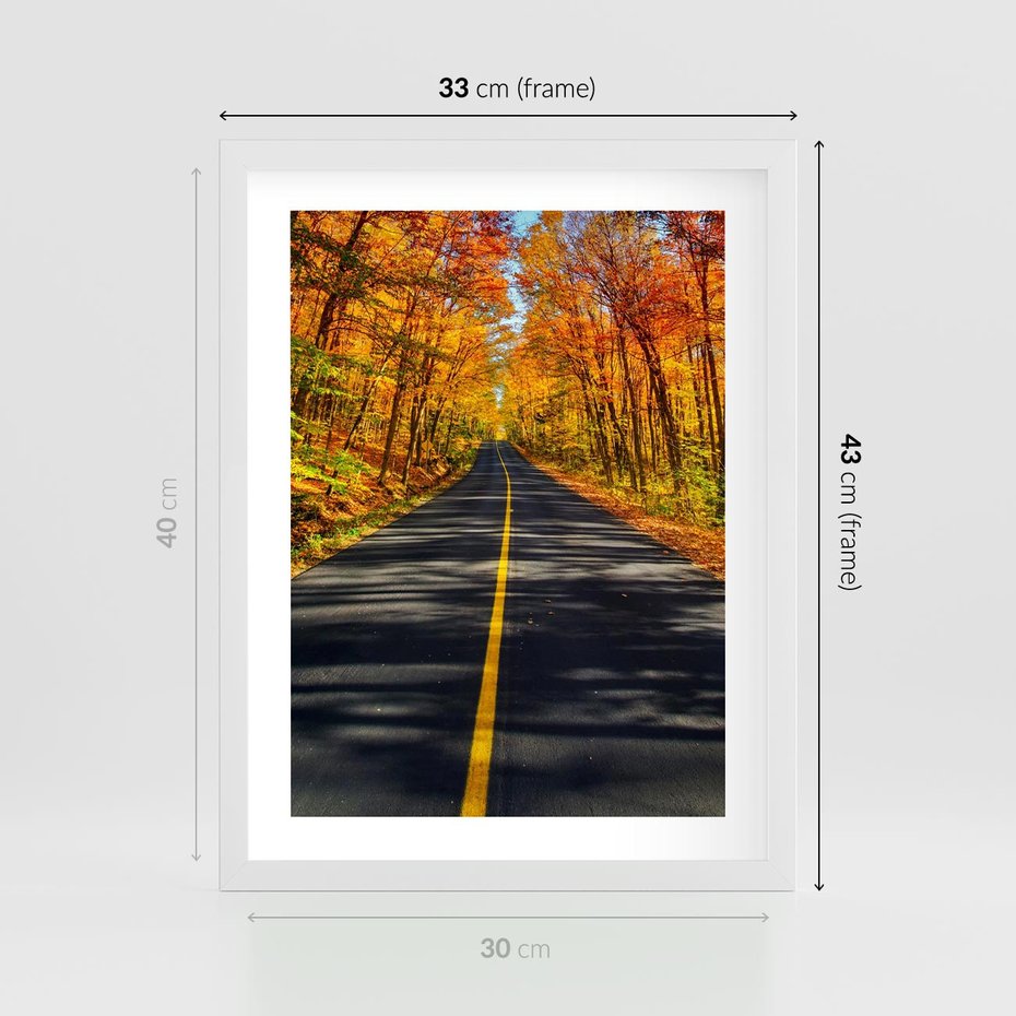 Plakat w ramie 30x40 - Droga przez jesienny las - droga, las - rama biała