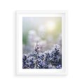 Plakat w ramie 40x50 - Delikatna Uroda Natury - wrzosy, fiolet - rama biała