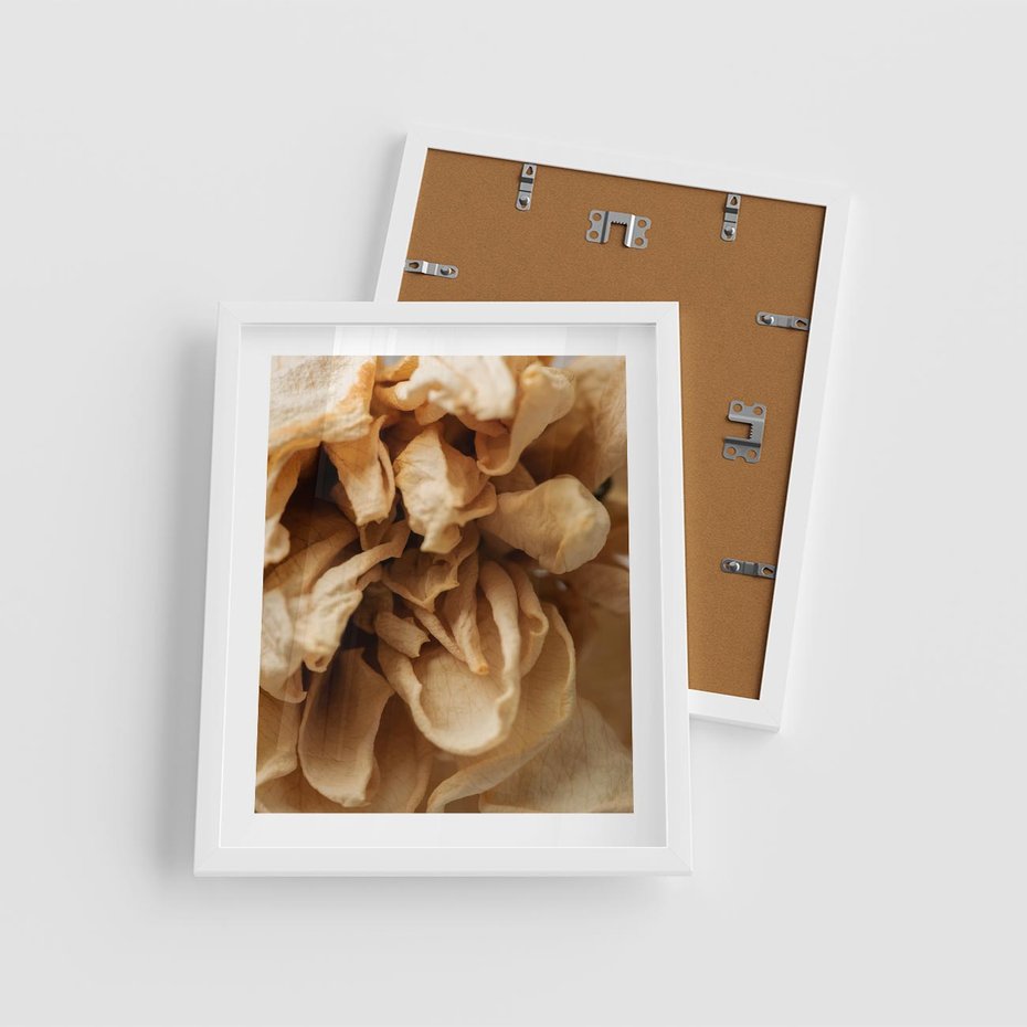 Plakat w ramie 40x50 - Zjawiskowe zasuszone kwiaty - zasuszone, kwiaty - rama biała