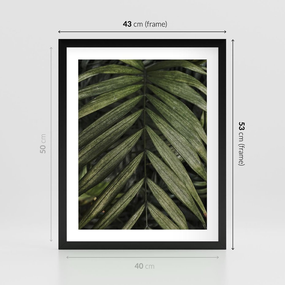 Plakat w ramie 40x50 - W Liściach Ukryte - zdjęcie, fotografia - rama czarna