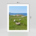 Plakat bez ramy 40x50 - Górskie Owce - góry, owce