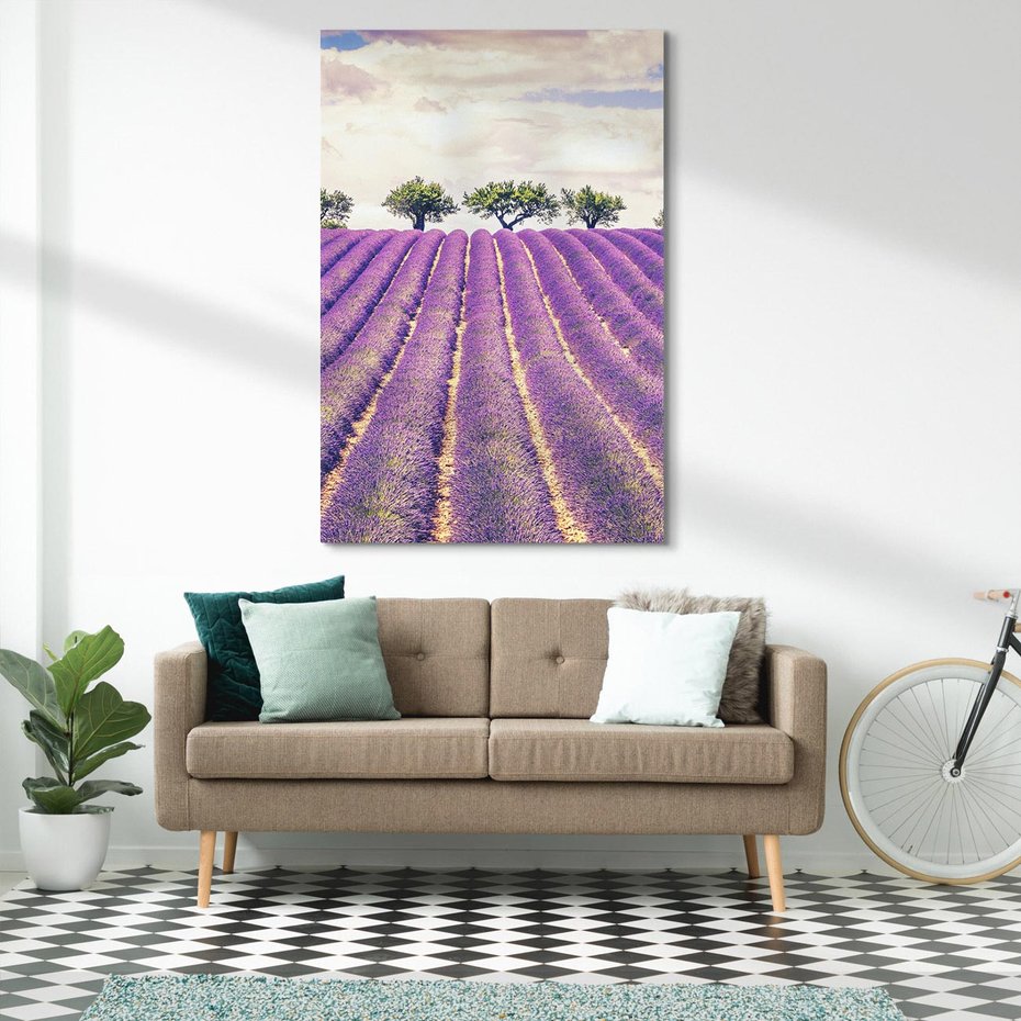 Obraz na płótnie 70x100 - Uroda Lawendy: Kwiatowy Cud Natury - lawenda, kwiaty