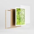 Plakat w ramie 50x70 - Zielone liście natury - liści, zieleń - rama drewno