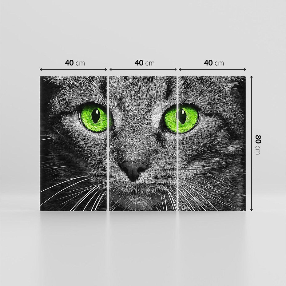 Obraz na płótnie 120x80 - Przestreń nautra doznania - kot, kotek