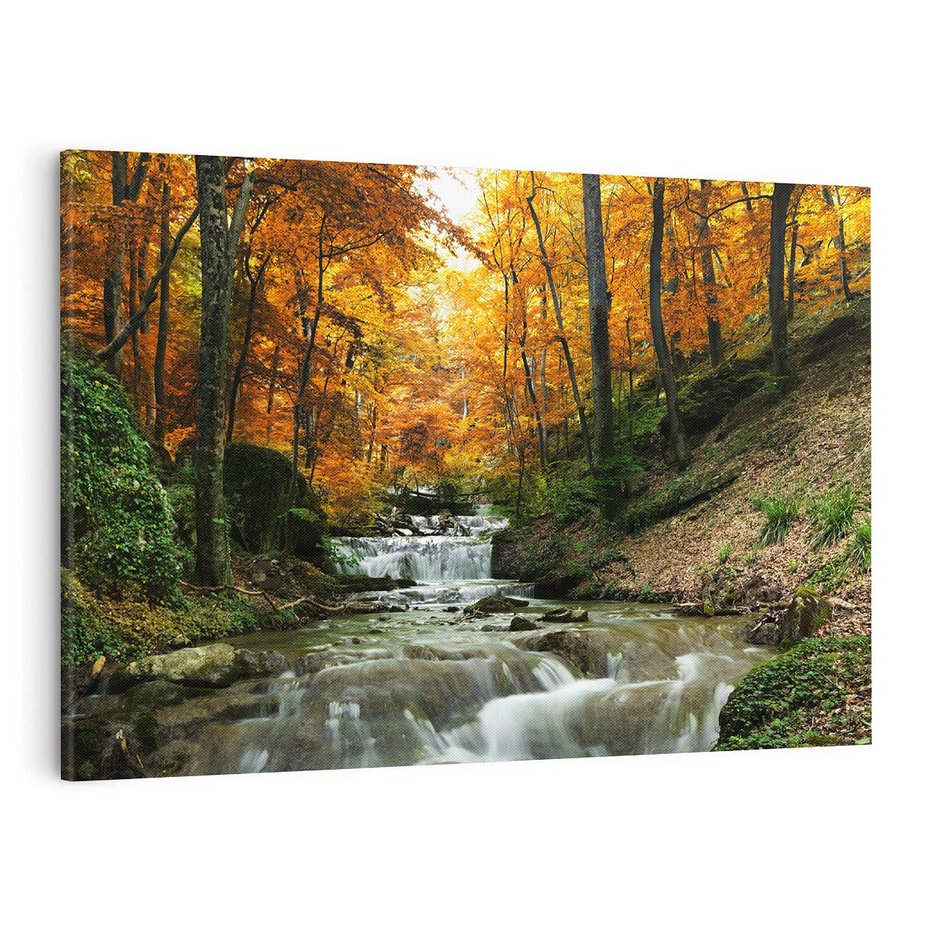 Obraz na płótnie 120x80 - Urok lasu: drzewa i strumyk w harmonii - las, drzewa