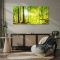 Obraz na płótnie 120x60 - Las w pełnym rozkwicie - las, drzewa