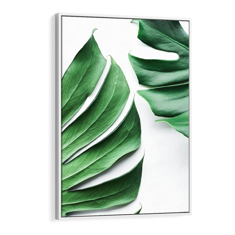 Obraz w ramie 80x120 - Monstera - Liście Kwiaty - monstera, liście - rama biała
