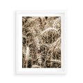 Plakat w ramie 40x50 - Zbliżenie na Kłosy Zboża - zboża, kłosy zboża - rama biała