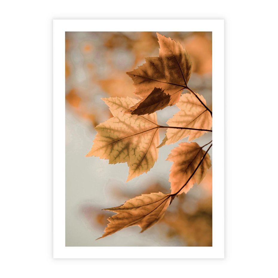 Plakat bez ramy 21x30 - Magia Jesieni - liście, jesień