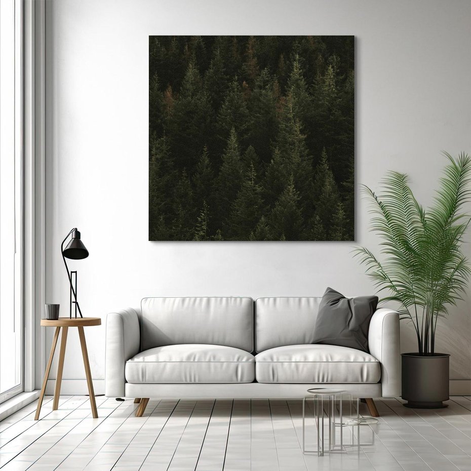 Obraz na płótnie 60x60 - Ciemny las iglasty - las, iglasty