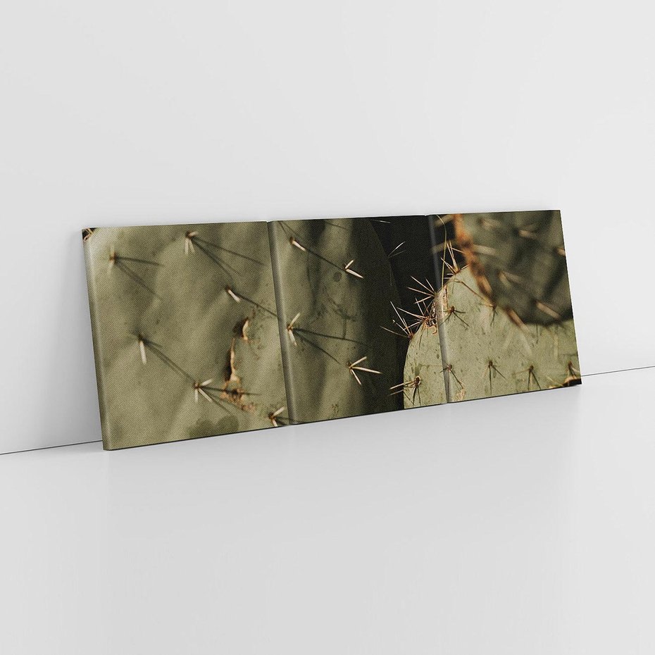 Obraz na płótnie 120x40 - Urok Egzotyki - kaktusy, boho