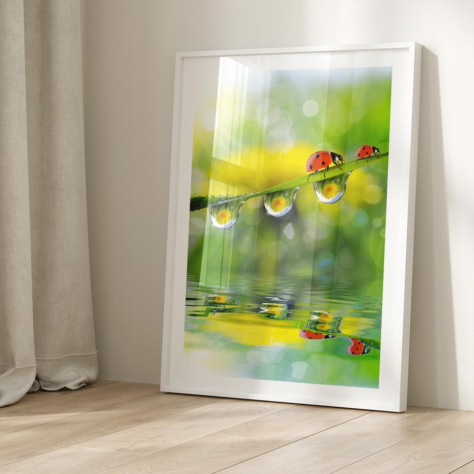 Plakat w ramie 40x50 - Deszczowa Biedronka - biedronka, deszcz - rama biała